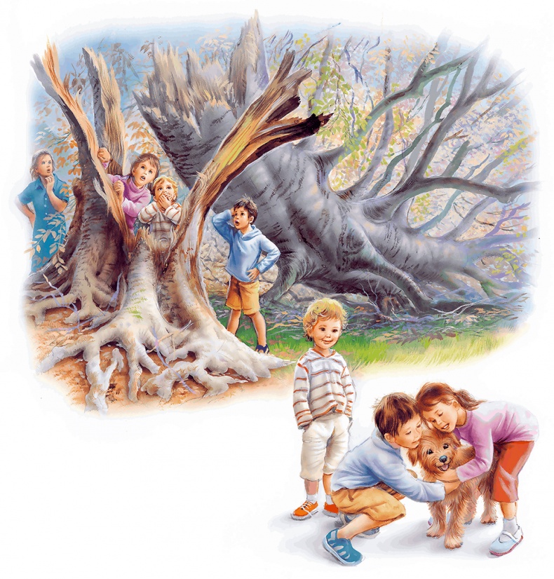 Иллюстрация к книге — Маруся - подружка всех зверят. В лесу. В деревне [i_041.jpg]