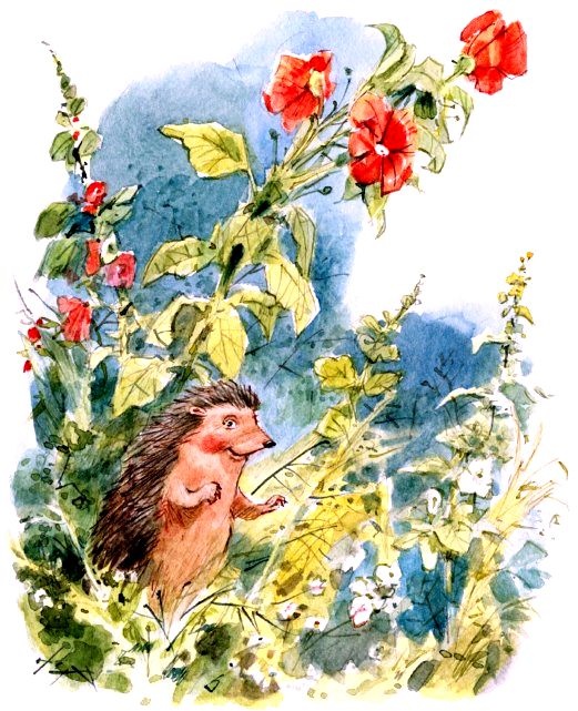 Иллюстрация к книге — Счастливо, Ивушкин! [pic_1.jpg]