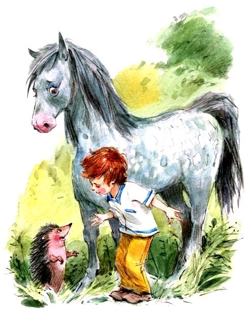 Иллюстрация к книге — Счастливо, Ивушкин! [pic_6.jpg]