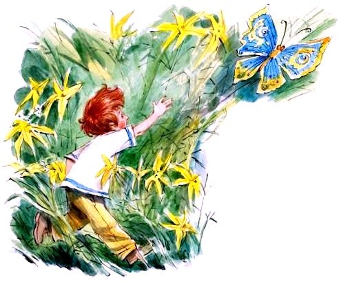 Иллюстрация к книге — Счастливо, Ивушкин! [pic_9.jpg]