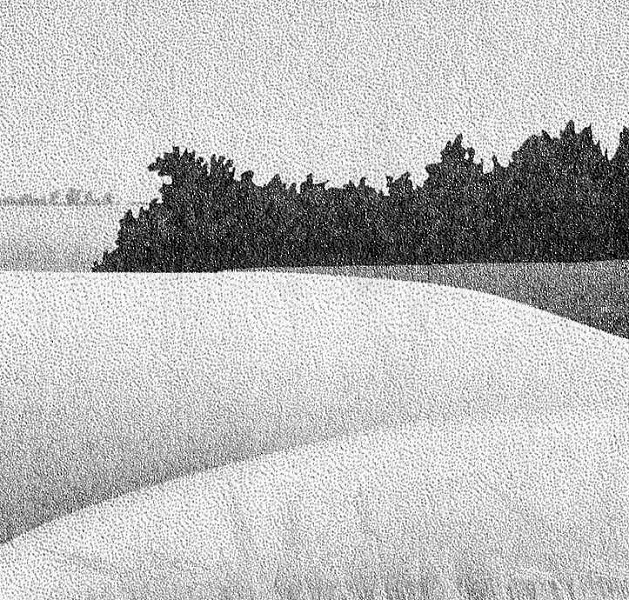 Иллюстрация к книге — Прерванная игра [i_001.jpg]