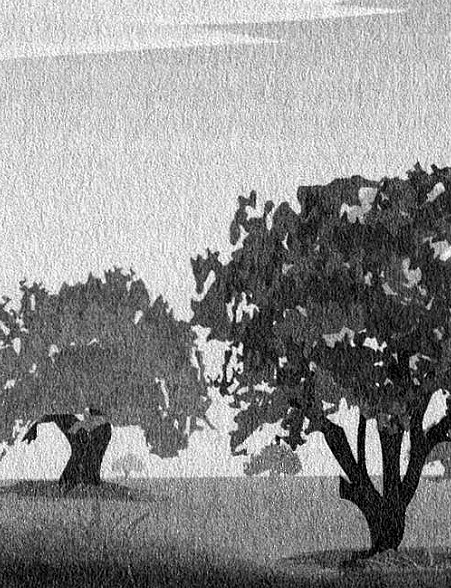 Иллюстрация к книге — Прерванная игра [i_004.jpg]