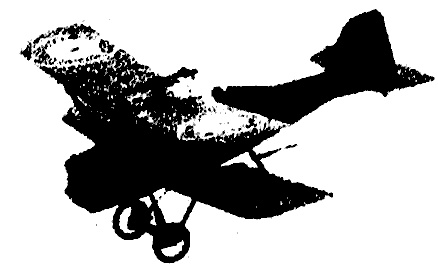 Иллюстрация к книге — Птица без крыльев [i_008.jpg]