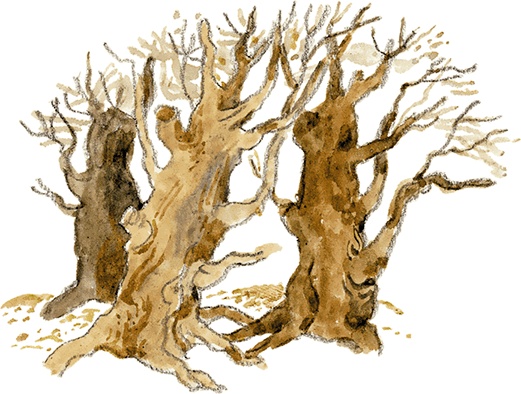 Иллюстрация к книге — Лучшие сказки Норвегии [i_012.jpg]