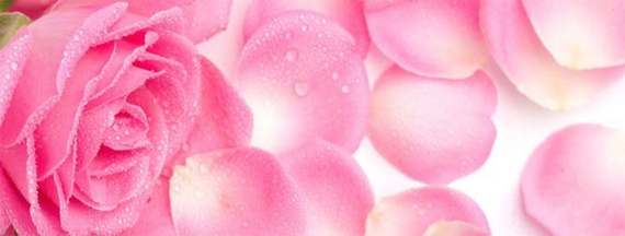 Иллюстрация к книге — Свадьба леди Клайв [_1.jpg]