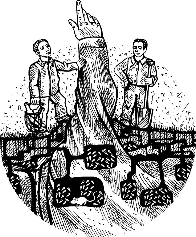 Иллюстрация к книге — Места не столь населенные [i_029.jpg]