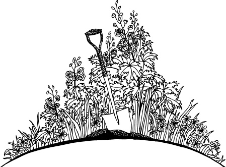 Иллюстрация к книге — Главные секреты вашего сада и огорода (переиздание) [_10.jpg]