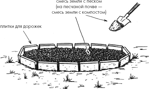 Иллюстрация к книге — Главные секреты вашего сада и огорода (переиздание) [_13.jpg]
