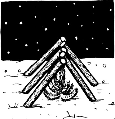 Иллюстрация к книге — Главные секреты вашего сада и огорода (переиздание) [_33.jpg]