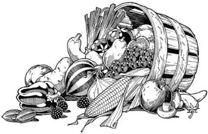 Иллюстрация к книге — Главные секреты вашего сада и огорода (переиздание) [_39.jpg]