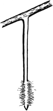 Иллюстрация к книге — Главные секреты вашего сада и огорода (переиздание) [_4.jpg]