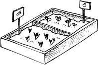 Иллюстрация к книге — Главные секреты вашего сада и огорода (переиздание) [_44.jpg]