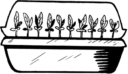 Иллюстрация к книге — Главные секреты вашего сада и огорода (переиздание) [_53.jpg]