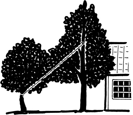 Иллюстрация к книге — Главные секреты вашего сада и огорода (переиздание) [_63.jpg]