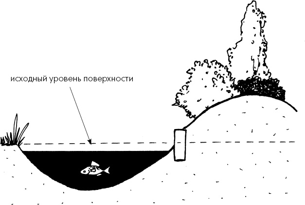 Иллюстрация к книге — Главные секреты вашего сада и огорода (переиздание) [_69.jpg]