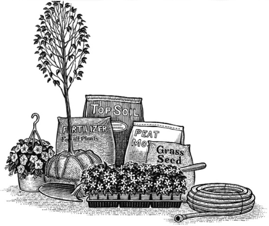 Иллюстрация к книге — Главные секреты вашего сада и огорода (переиздание) [_75.jpg]