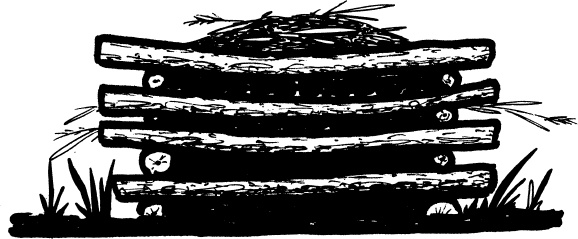 Иллюстрация к книге — Главные секреты вашего сада и огорода (переиздание) [_79.jpg]