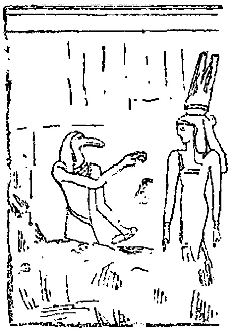 Иллюстрация к книге — Истину можно вычислить [i_221.jpg]