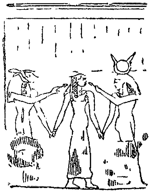 Иллюстрация к книге — Истину можно вычислить [i_222.jpg]