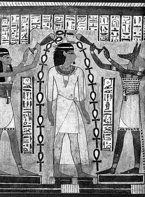 Иллюстрация к книге — Истину можно вычислить [i_224.jpg]