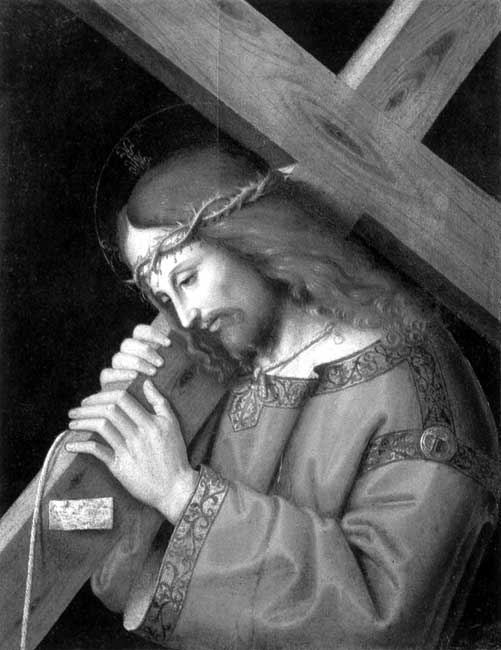 Иллюстрация к книге — Истину можно вычислить [i_240.jpg]