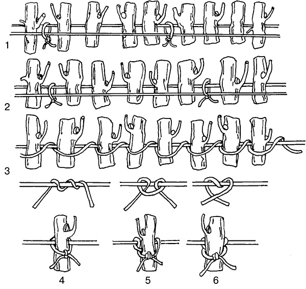 Иллюстрация к книге — Виноград на вашей даче. Растет не только на юге! [i_014.jpg]