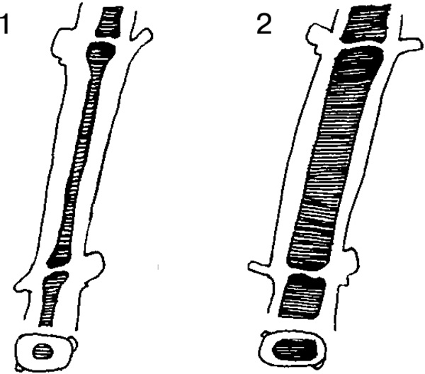 Иллюстрация к книге — Виноград на вашей даче. Растет не только на юге! [i_030.jpg]