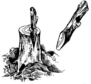 Иллюстрация к книге — Виноград для любого региона. Как вырастить без ошибок? 50 шагов к успеху [i_004.jpg]