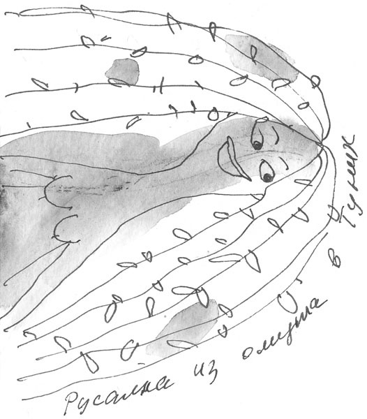 Иллюстрация к книге — Привидений почти не бывает [_1181.jpg]