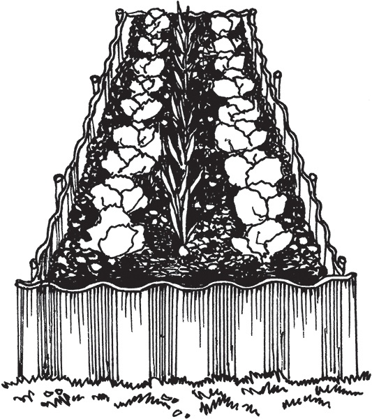 Иллюстрация к книге — Высокие грядки своими руками. Три урожая за сезон [i_007.jpg]