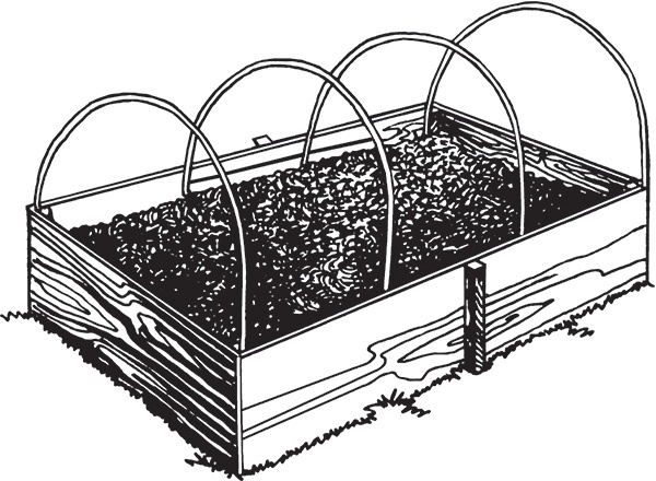 Иллюстрация к книге — Высокие грядки своими руками. Три урожая за сезон [i_011.jpg]