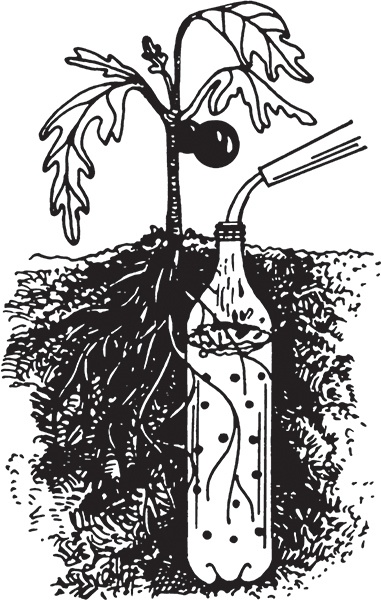 Иллюстрация к книге — Высокие грядки своими руками. Три урожая за сезон [i_012.jpg]