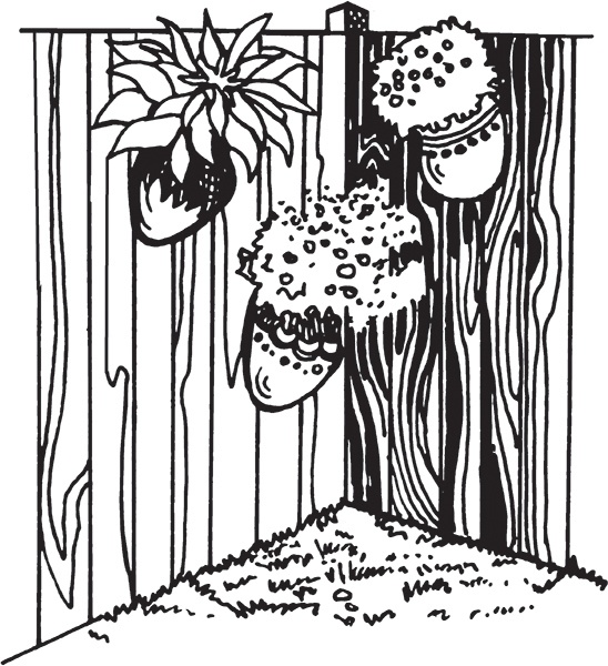 Иллюстрация к книге — Высокие грядки своими руками. Три урожая за сезон [i_015.jpg]