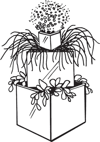 Иллюстрация к книге — Высокие грядки своими руками. Три урожая за сезон [i_018.jpg]