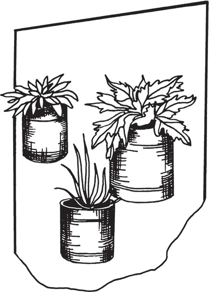 Иллюстрация к книге — Высокие грядки своими руками. Три урожая за сезон [i_021.jpg]