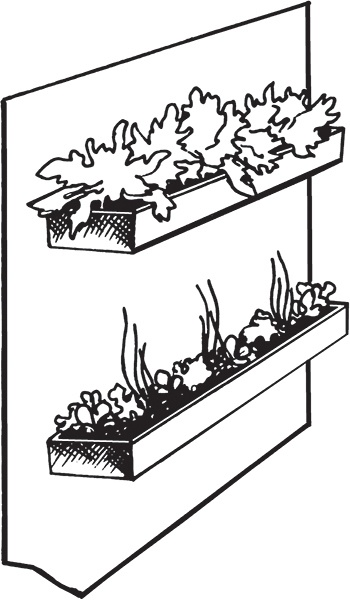 Иллюстрация к книге — Высокие грядки своими руками. Три урожая за сезон [i_022.jpg]