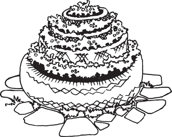 Иллюстрация к книге — Высокие грядки своими руками. Три урожая за сезон [i_023.jpg]