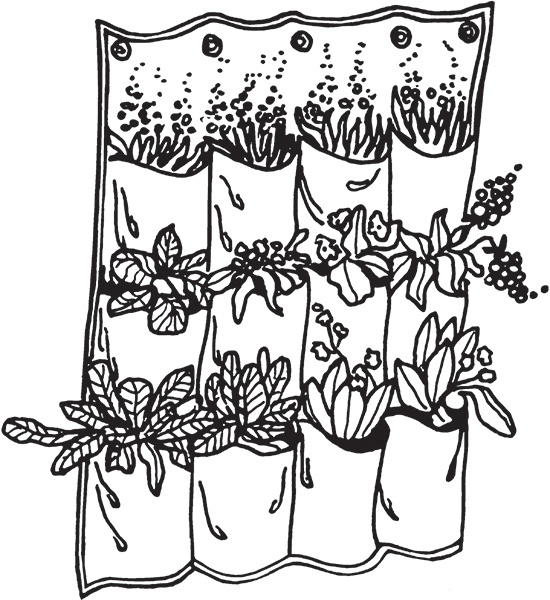 Иллюстрация к книге — Высокие грядки своими руками. Три урожая за сезон [i_024.jpg]