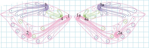 Иллюстрация к книге — Квилинг. Новые идеи для творчества [i_153.jpg]