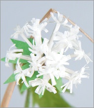 Иллюстрация к книге — Квилинг. Новые идеи для творчества [i_179.jpg]