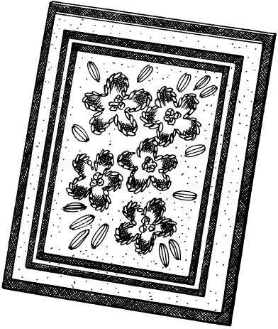 Иллюстрация к книге — Вышивка по бумаге [i_030.jpg]