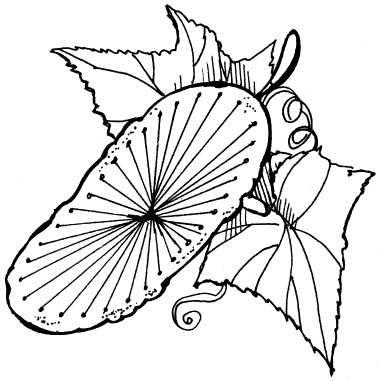 Иллюстрация к книге — Вышивка по бумаге [i_073.jpg]