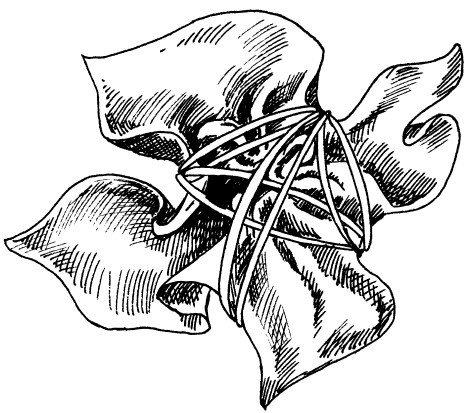 Иллюстрация к книге — Волшебный батик [i_068.jpg]