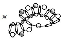 Иллюстрация к книге — Бижутерия и украшения своими руками [i_018.jpg]