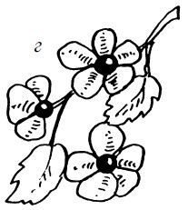 Иллюстрация к книге — Бижутерия и украшения своими руками [i_091.jpg]