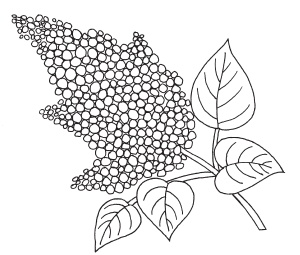 Иллюстрация к книге — Аппликация [i_029.jpg]