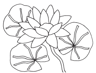 Иллюстрация к книге — Аппликация [i_147.jpg]