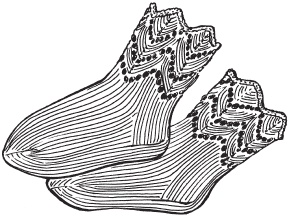 Иллюстрация к книге — Вязаные вещи для самых маленьких. От рождения до 3-х лет [i_039.jpg]