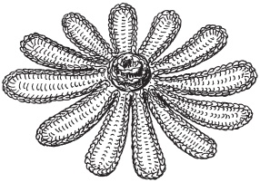 Иллюстрация к книге — Вязаные вещи для самых маленьких. От рождения до 3-х лет [i_044.jpg]