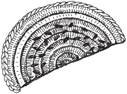 Иллюстрация к книге — Вязаные вещи для самых маленьких. От рождения до 3-х лет [i_050.jpg]